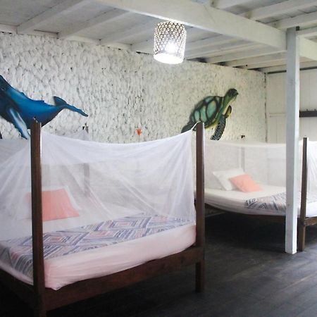 Refugio Mr Jerry Eco House Bahia Solano Exterior foto